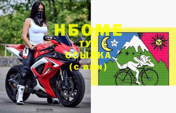 стаф Белокуриха