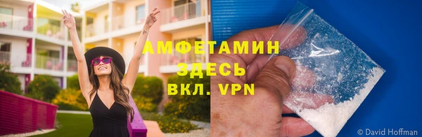 стаф Белокуриха
