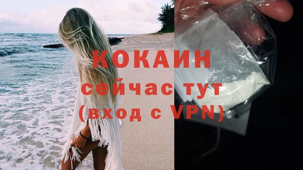 стаф Белокуриха