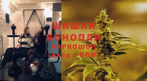 стаф Белокуриха