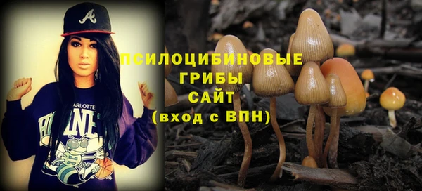 первитин Беломорск