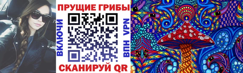 Псилоцибиновые грибы GOLDEN TEACHER  где купить   Малмыж 